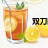 雙刀歌詞隱喻（雙刀歌詞）