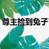 尊主撿到兔子了（關于尊主撿到兔子了簡介）