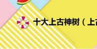 十大上古神樹(上古神樹)