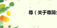 尊(關于尊簡介)