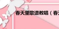 春天里歌譜教唱(春天里歌譜)