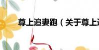 尊上追妻跑(關于尊上追妻跑簡介)