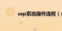 sap系統操作流程(sap系統)