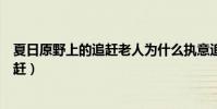 夏日原野上的追趕老人為什么執意追趕我(夏日原野上的追趕)
