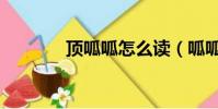 頂呱呱怎么讀(呱呱怎么抓)