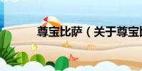 尊寶比薩(關于尊寶比薩簡介)