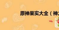 原神果實大全(神之果實)