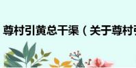 尊村引黃總干渠(關于尊村引黃總干渠簡介)