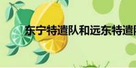 東寧特遣隊和遠東特遣隊(魅友網)