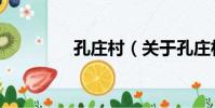 孔莊村(關于孔莊村介紹)