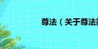 尊法(關于尊法簡介)