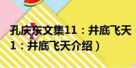 孔慶東文集11:井底飛天(關于孔慶東文集11:井底飛天介紹)