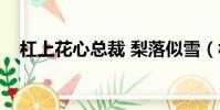 杠上花心總裁 梨落似雪(杠上花心總裁)
