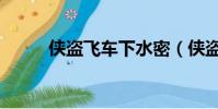 俠盜飛車下水密(俠盜飛車下水)