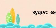 xyqsvc exe