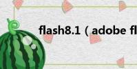 flash8.1(adobe flash 8 0)