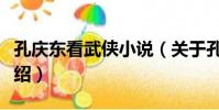 孔慶東看武俠小說(關于孔慶東看武俠小說介紹)