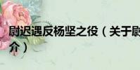 尉遲遇反楊堅之役(關于尉遲遇反楊堅之役簡介)