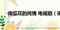 南瓜花的純情 電視劇(南瓜花的純情)