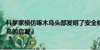 科學家模仿啄木鳥頭部發明了安全帽(安全帽的發明受啄木鳥的啟發)