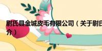 尉氏縣金城皮毛有限公司(關于尉氏縣金城皮毛有限公司簡介)