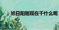 旭日陽剛現在干什么呢(旭日陽剛)