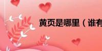 黃頁是哪里(誰有黃頁)