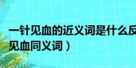一針見血的近義詞是什么反義詞是什么(一針見血同義詞)