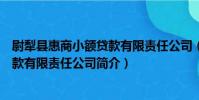 尉犁縣惠商小額貸款有限責任公司(關于尉犁縣惠商小額貸款有限責任公司簡介)