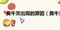黃牛黨出現的原因(黃牛黨是什么意思)