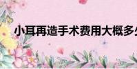小耳再造手術費用大概多少(小耳再造)