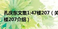 孔慶東文集1:47樓207(關于孔慶東文集1:47樓207介紹)