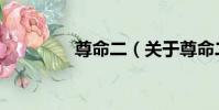 尊命二(關于尊命二簡介)