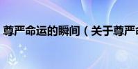 尊嚴命運的瞬間(關于尊嚴命運的瞬間簡介)