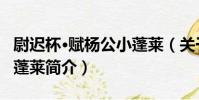 尉遲杯·賦楊公小蓬萊(關于尉遲杯·賦楊公小蓬萊簡介)