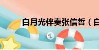 白月光伴奏張信哲(白月光伴奏)