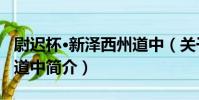 尉遲杯·新澤西州道中(關于尉遲杯·新澤西州道中簡介)