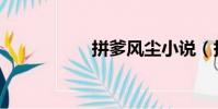 拼爹風塵小說(拼爹)