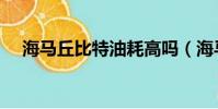 海馬丘比特油耗高嗎(海馬丘比特油耗)