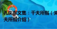 孔慶東文集:千夫所指(關于孔慶東文集:千夫所指介紹)