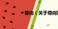 尊向(關于尊向簡介)