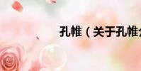 孔帷(關于孔帷介紹)