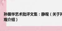 孫振華藝術批評文集:靜觀(關于孫振華藝術批評文集:靜觀介紹)
