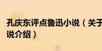 孔慶東評點魯迅小說(關于孔慶東評點魯迅小說介紹)