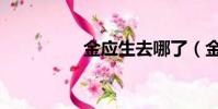 金應生去哪了(金應生)