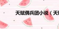 天賦傭兵團小說(天賦傭兵團)
