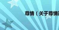 尊情(關于尊情簡介)