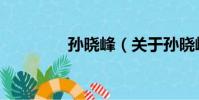 孫曉峰(關于孫曉峰介紹)