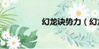 幻龍訣勢力(幻龍訣)