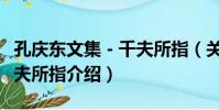 孔慶東文集-千夫所指(關于孔慶東文集-千夫所指介紹)